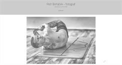 Desktop Screenshot of petrbohacek.com